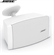 Loa Bose FreeSpace DS 100SE 2